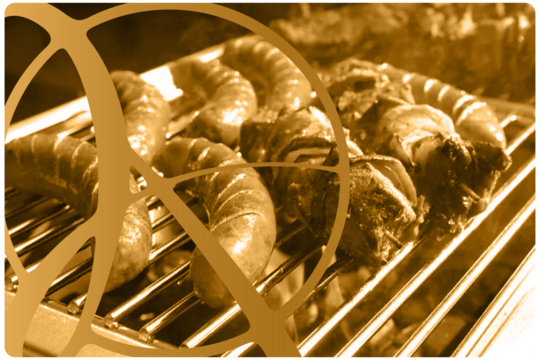 Keuken & BBQ apparatuur