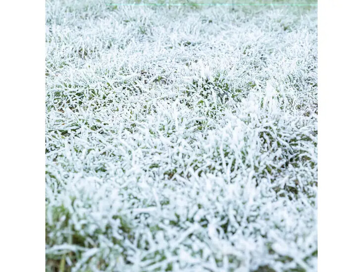 Sneeuwmachine met 2L sneeuwvloeistof