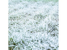 Sneeuwmachine met 2L sneeuwvloeistof